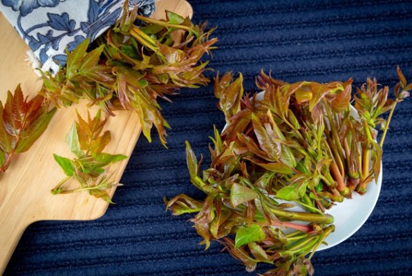 老年人,春天 不能错过这类蔬菜(图1) 老年人,春天 不能错过这类蔬菜(图1)