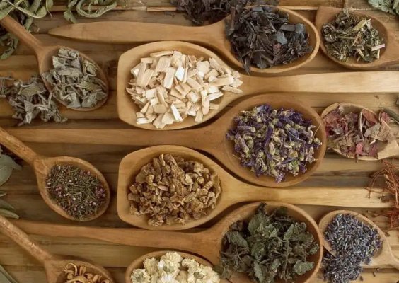 中老年人，随意服用中成药的陋习要改(图1)