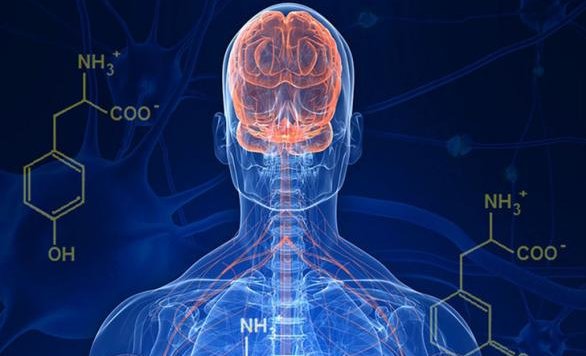 医学专家提醒:碎片化快乐带来“多巴胺陷阱”(图1) 医学专家提醒:碎片化快乐带来“多巴胺陷阱”(图1)