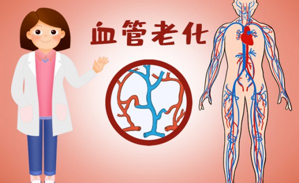 养老,女性血管衰老更快?中医找到干预血管衰老新策略(图1) 养老,女性血管衰老更快?中医找到干预血管衰老新策略(图1)
